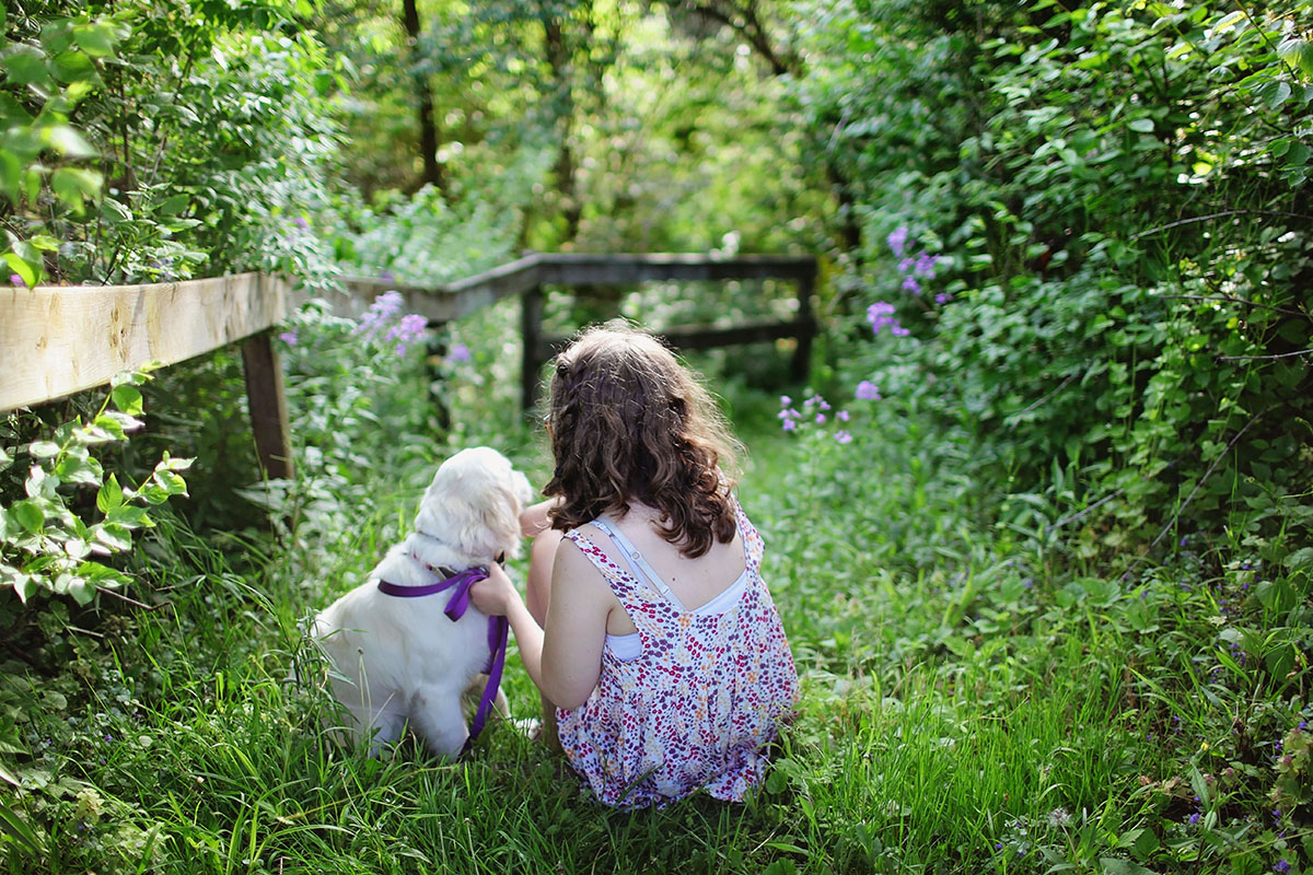 Garde animaux domestiques Hébergement Cocooning dans le Lot