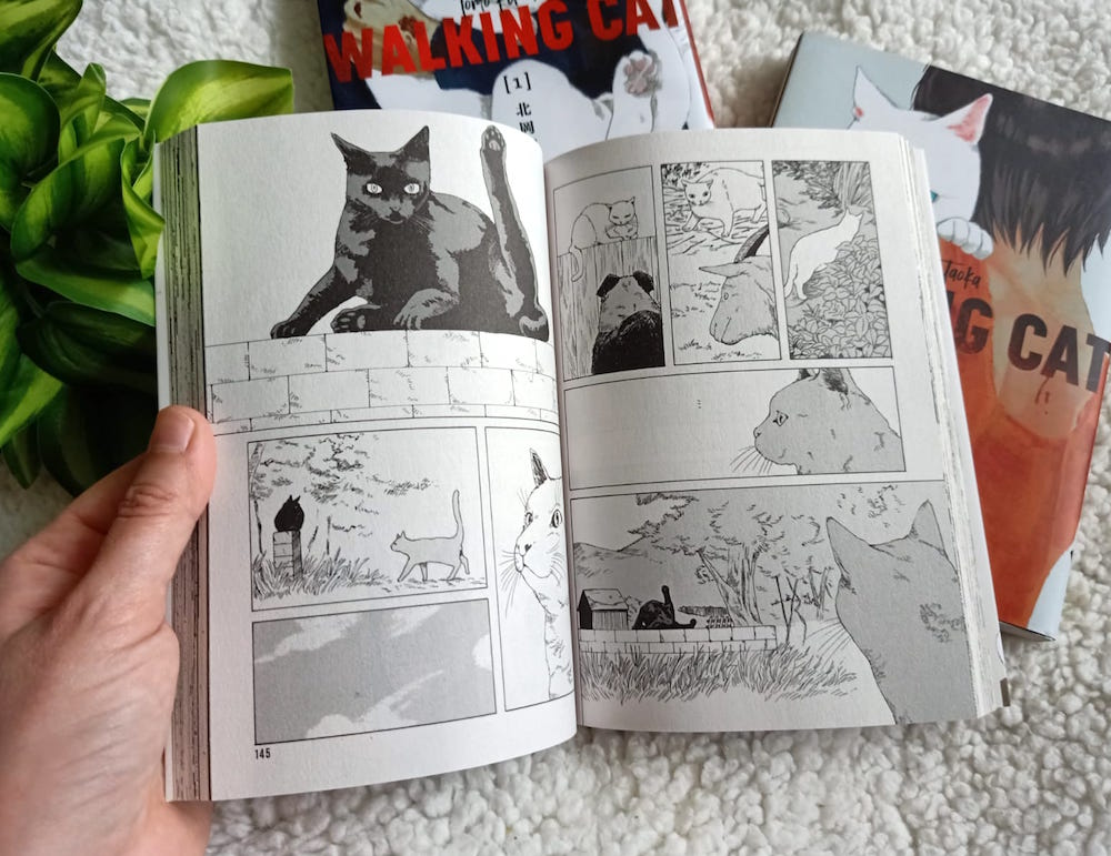 Walking Cat T.3 Liyah.fr Livre enfant Manga Shojo BD Livre