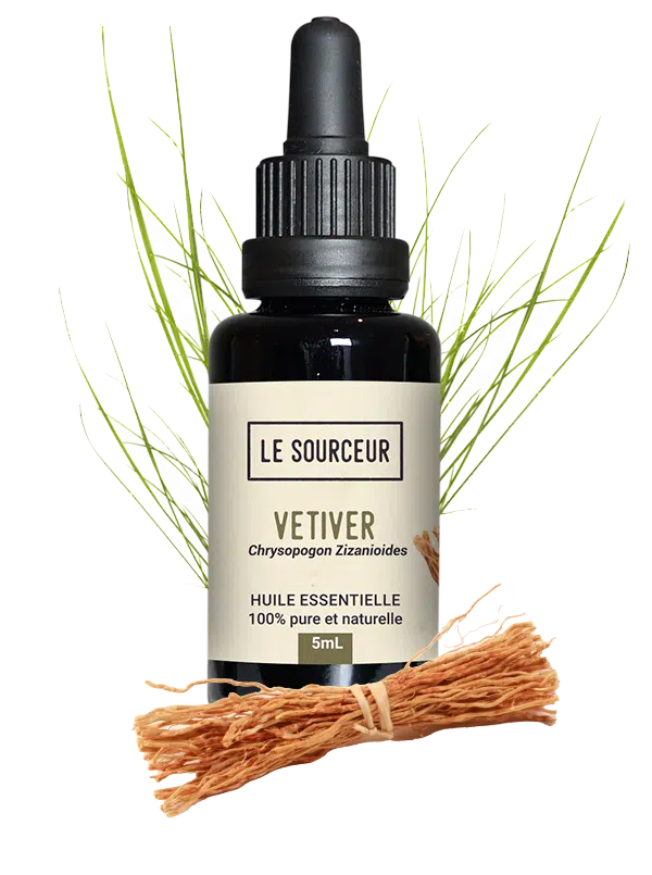 Vetiver Essential Oil (Chrysopogon Zizanioides) uses & properties