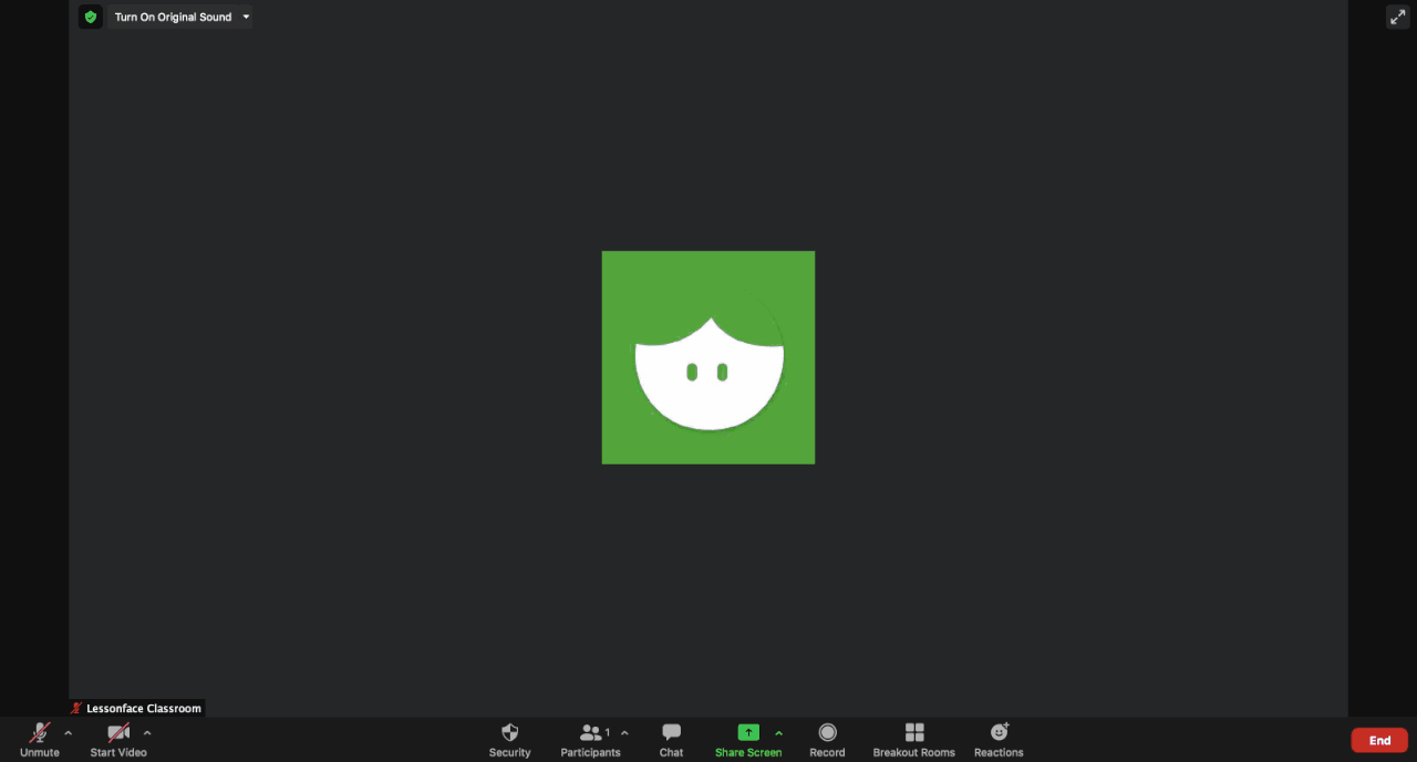 Advanced Audio Settings on Zoom Lessonface