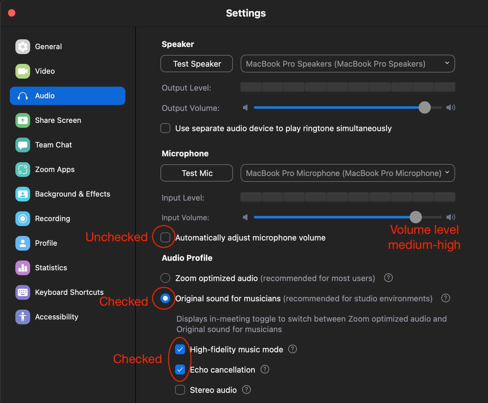 Best Audio Settings for Zoom Music Lessons and Classes Lessonface