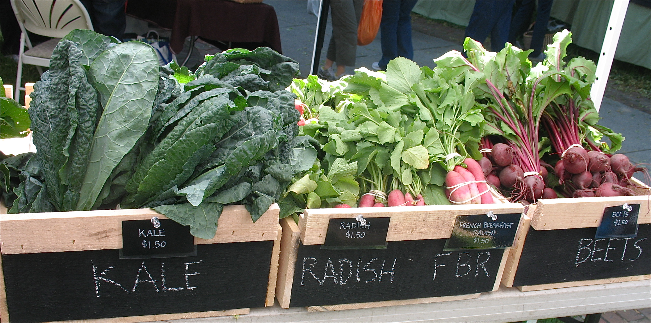 Roslindale Farmers Market Opening Day 2012 Blog Lester Esser