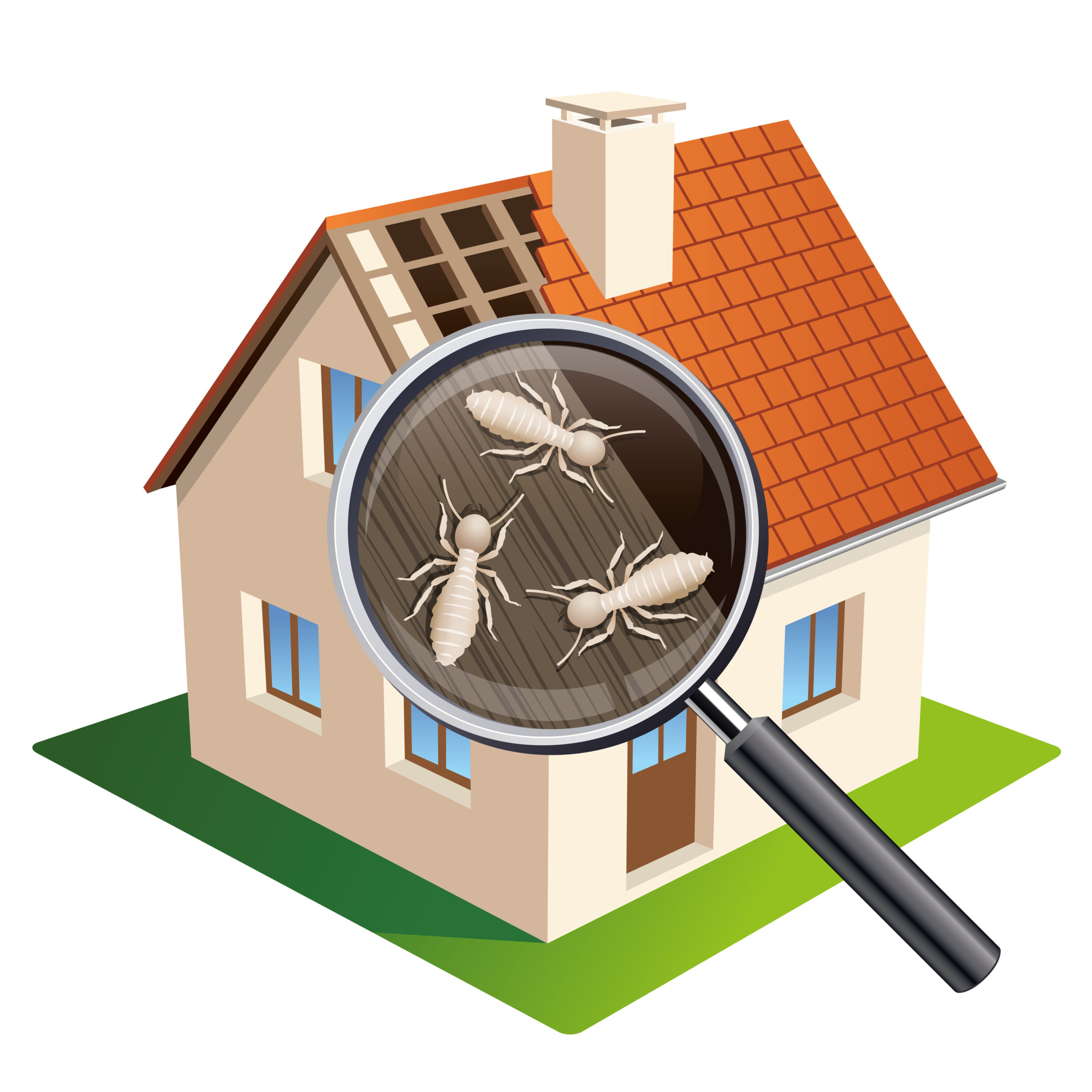 What is Halo Electronic Termite Detection and How Does it Work? Lethal Pest Solutions