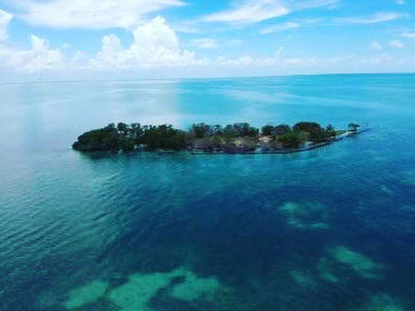 Coffee Island, Belize Let's Buy An Island