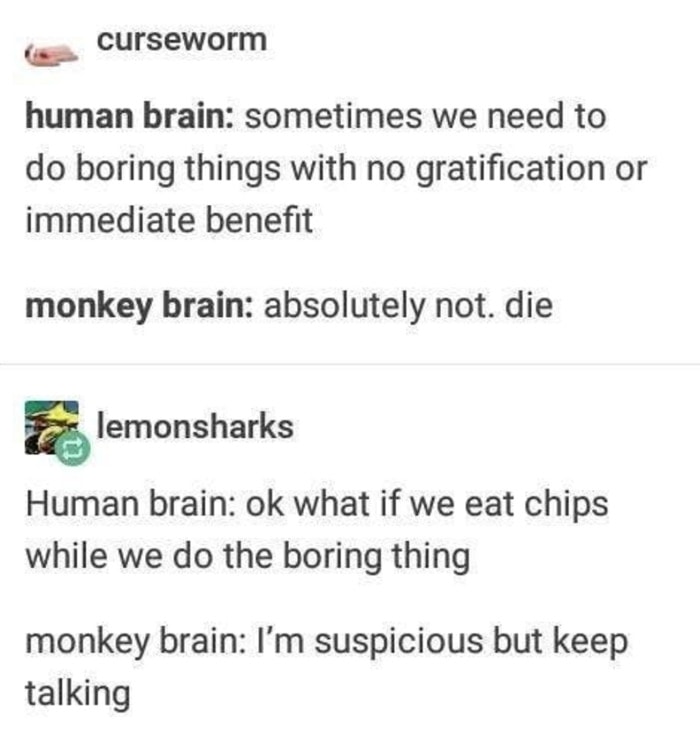 31 Relatable ADD and ADHD Memes for Your Next Break Let's Eat Cake