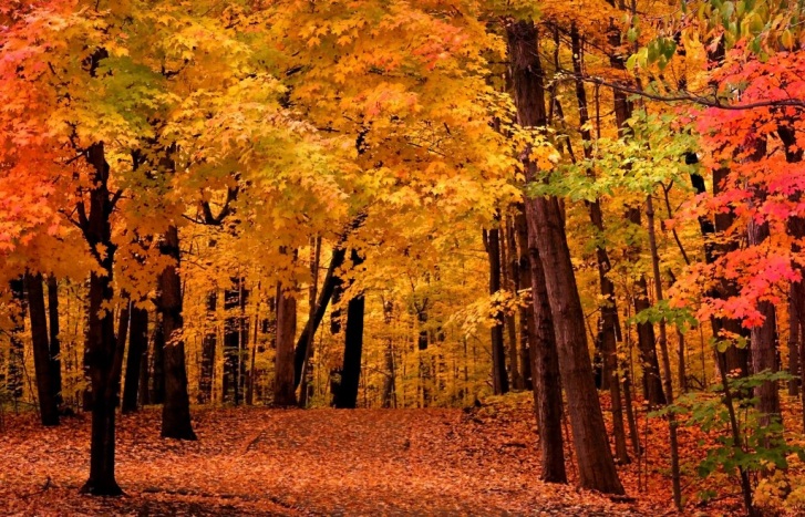 Top Ten Places to See Autumn Colors