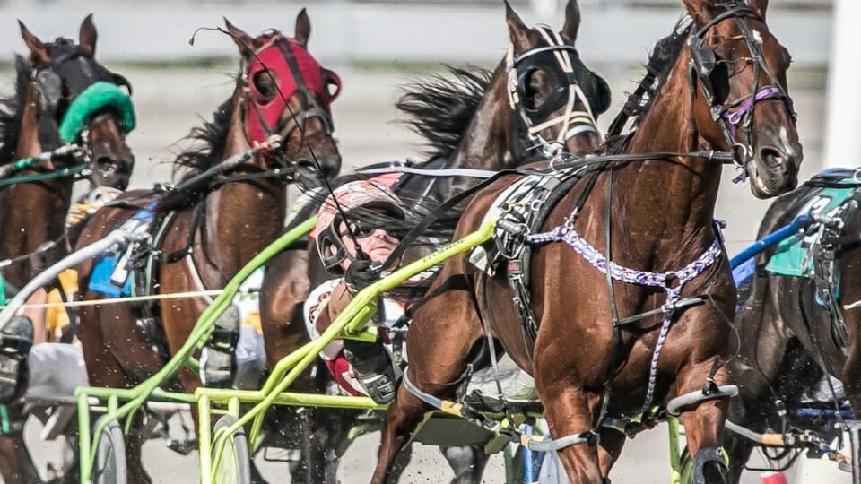 Pennsylvania Race Tracks Where to Bet on Horse Races in PA