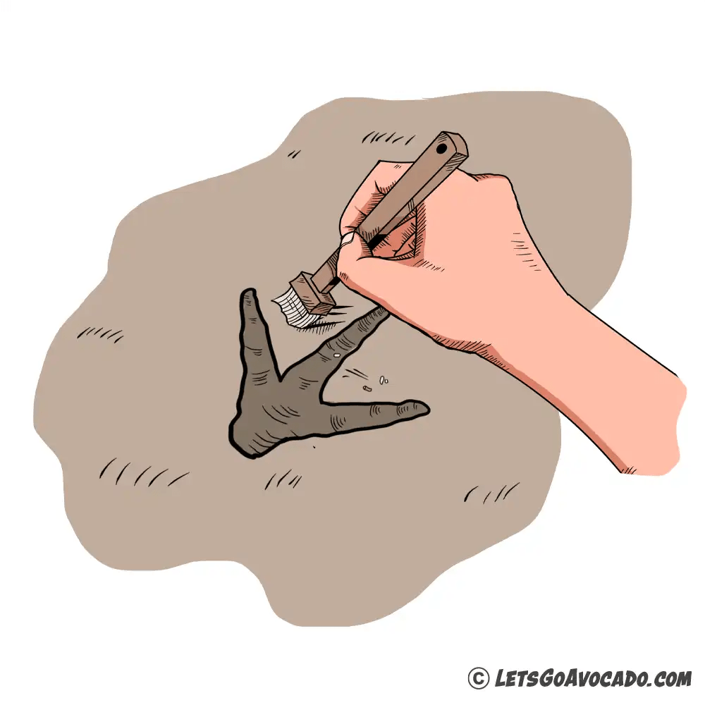 How To Make A Cool Plaster Cast Of Animal Tracks With Your Kids Let's