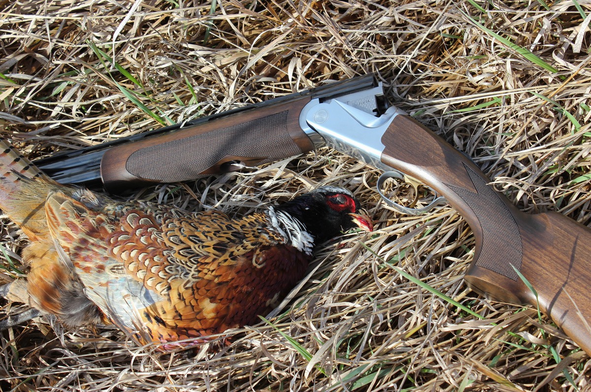 Birding Basics Pheasants 101 NSSF Let's Go Hunting