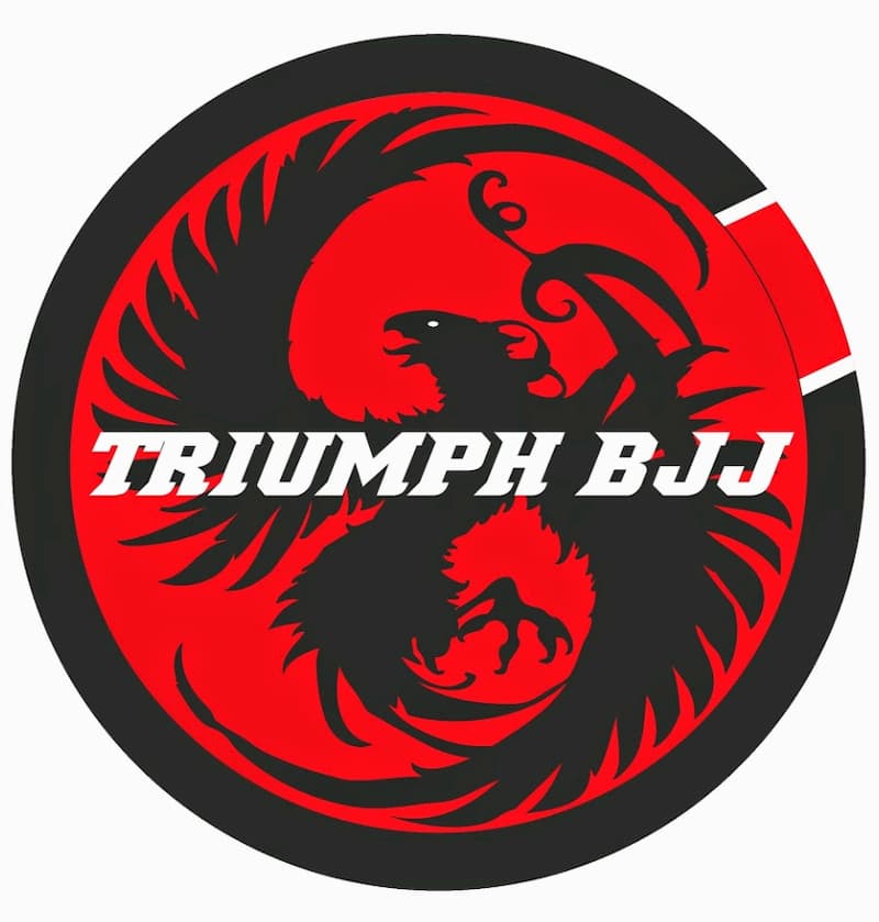 Best Brazilian Jiu Jitsu Schools in Columbus Ohio Let's Roll BJJ