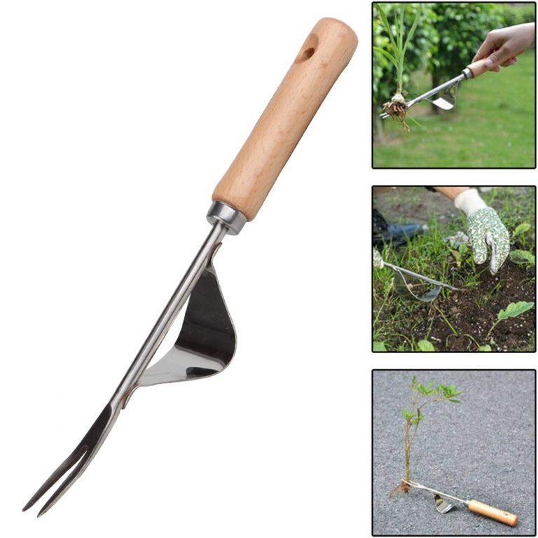 7 Best Garden Tools for Weeding in the Flower Bed That You Will Enjoy Using