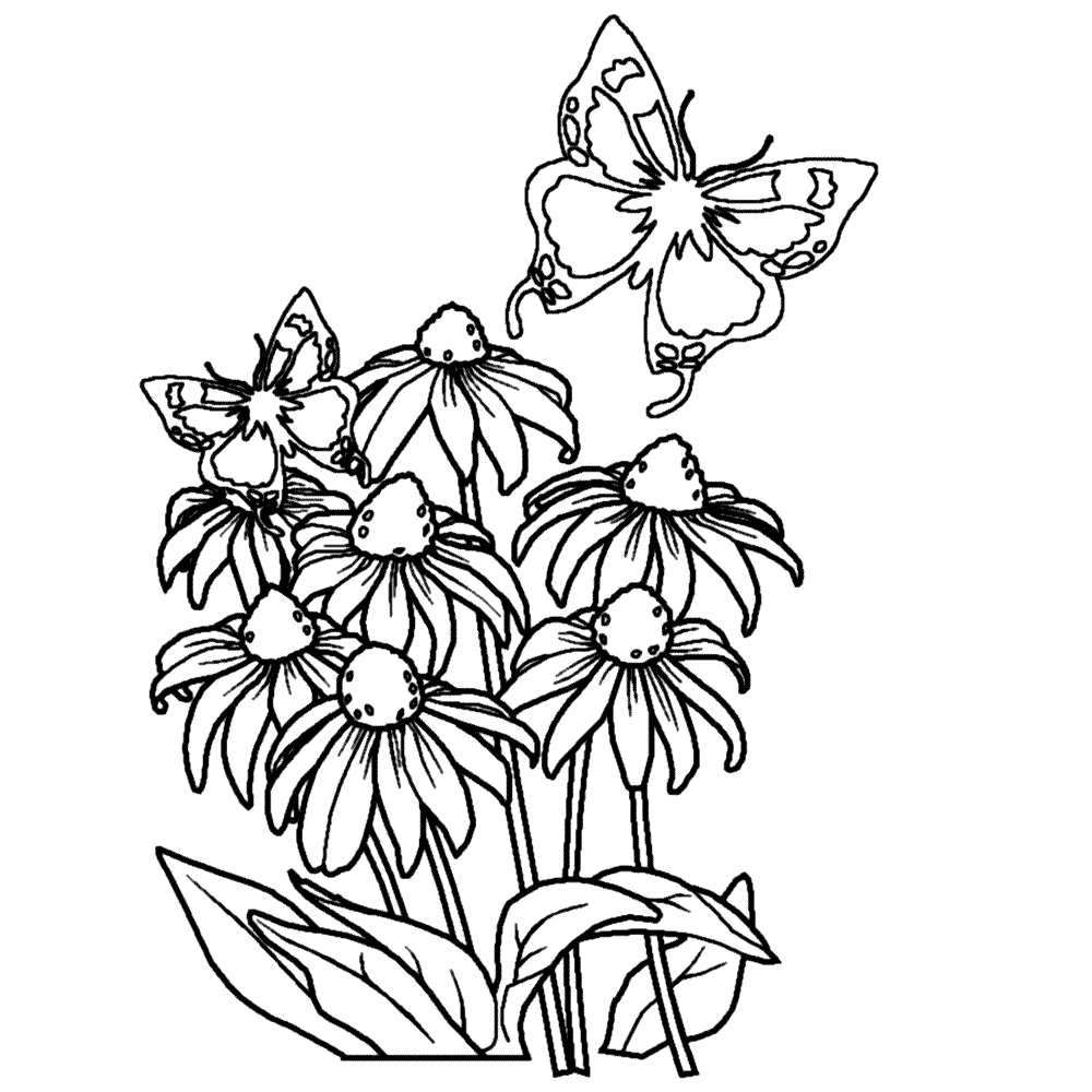 Bloemen Kleurplaten Leuk Voor Kids