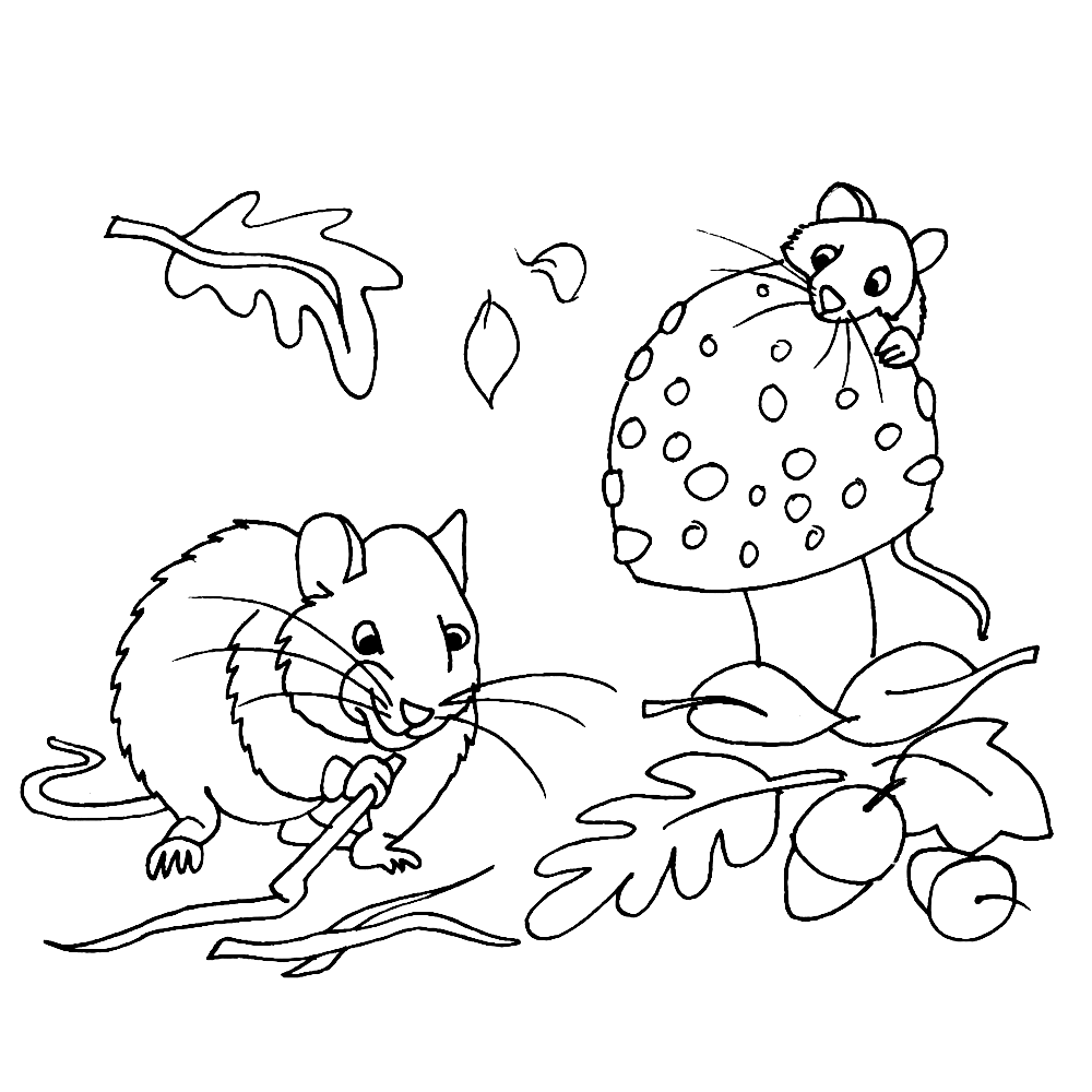 Leuk Voor Kids Twee Muisjes Verzamelen Een Voorraad Voor De Winter