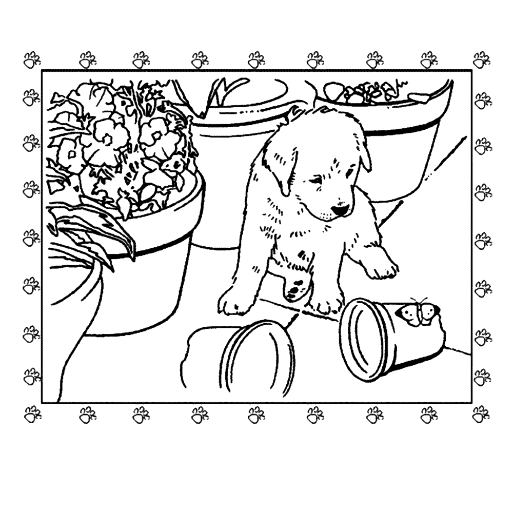 Leuk Voor Kids Puppie In De Tuin