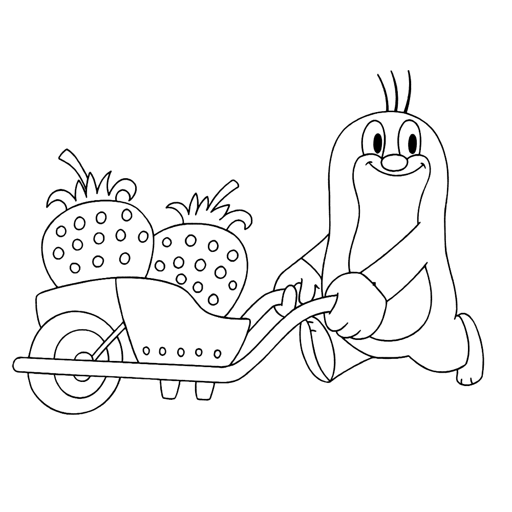 Leuk Voor Kids Molletje 0003