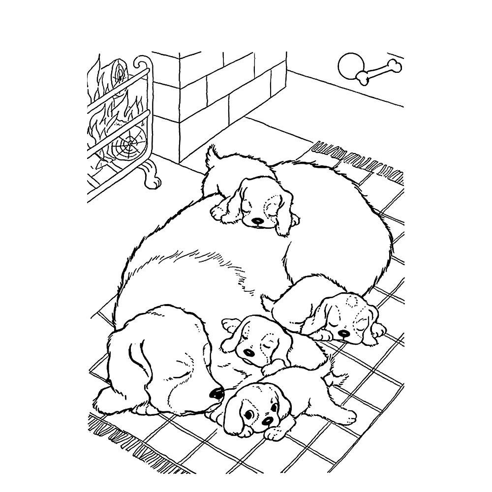 Leuk Voor Kids Puppies Slapen Bij Hun Moeder