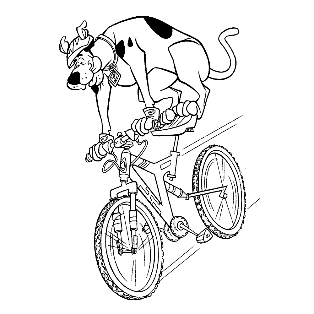 Leuk Voor Kids Op De Mountainbike