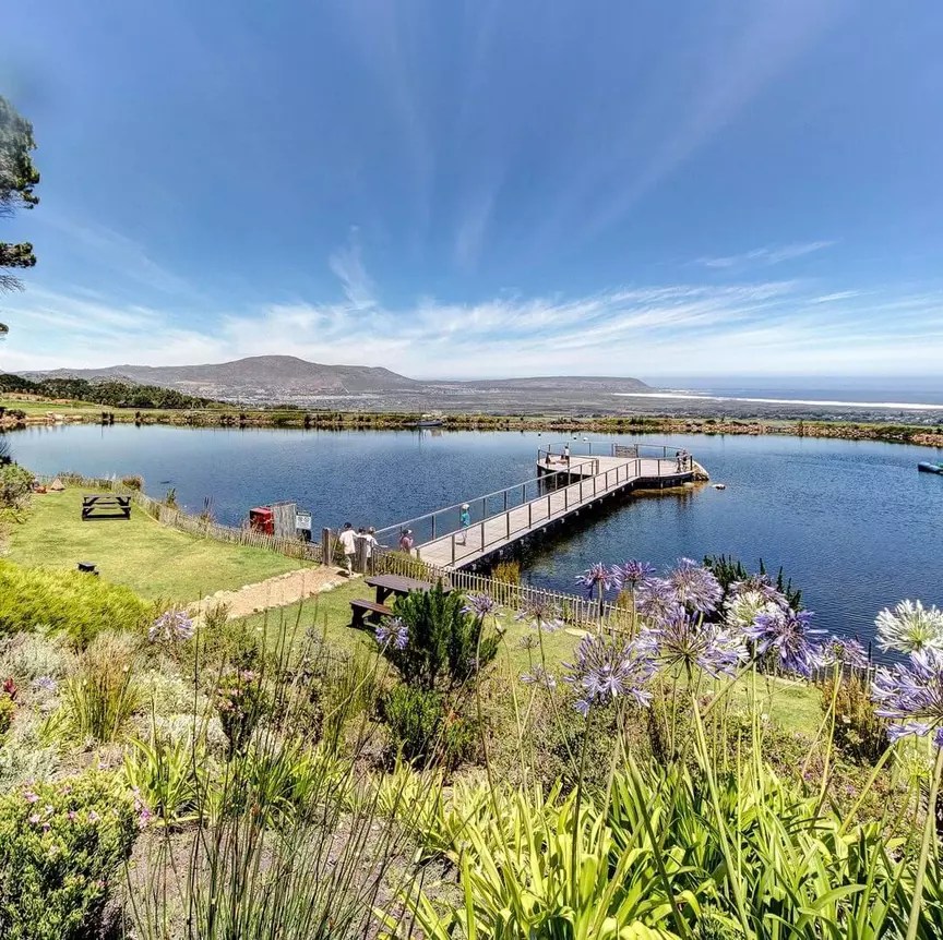 The 10 Best, Most Scenic, Picnic Spots in Cape Town, 2023 Edition