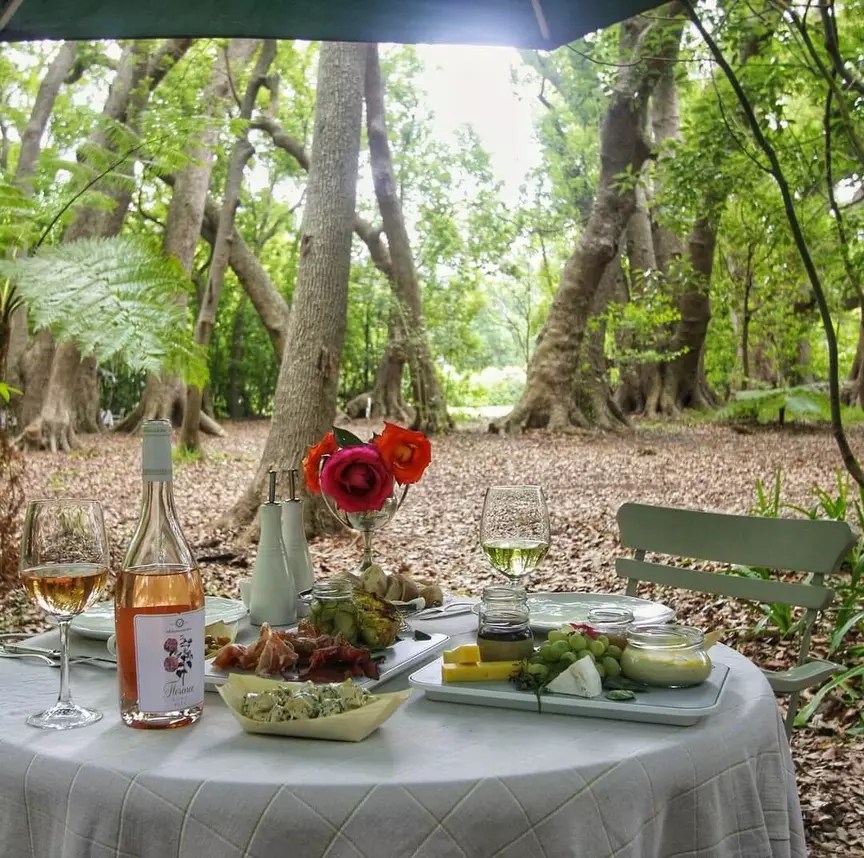 The 10 Best, Most Scenic, Picnic Spots in Cape Town, 2023 Edition