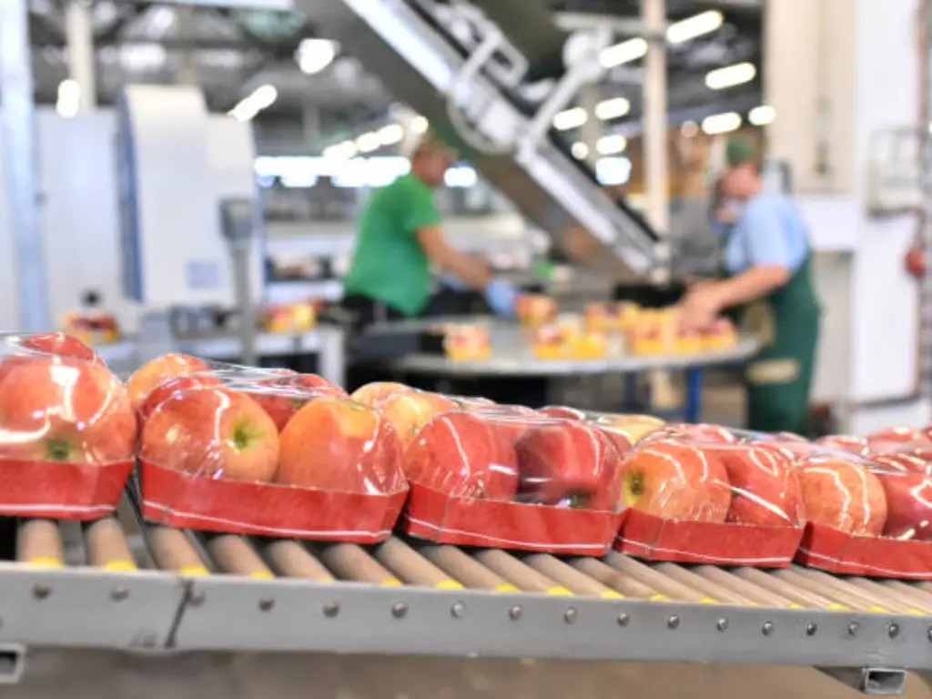 How to Seal Food Packaging 10 Proven Methods