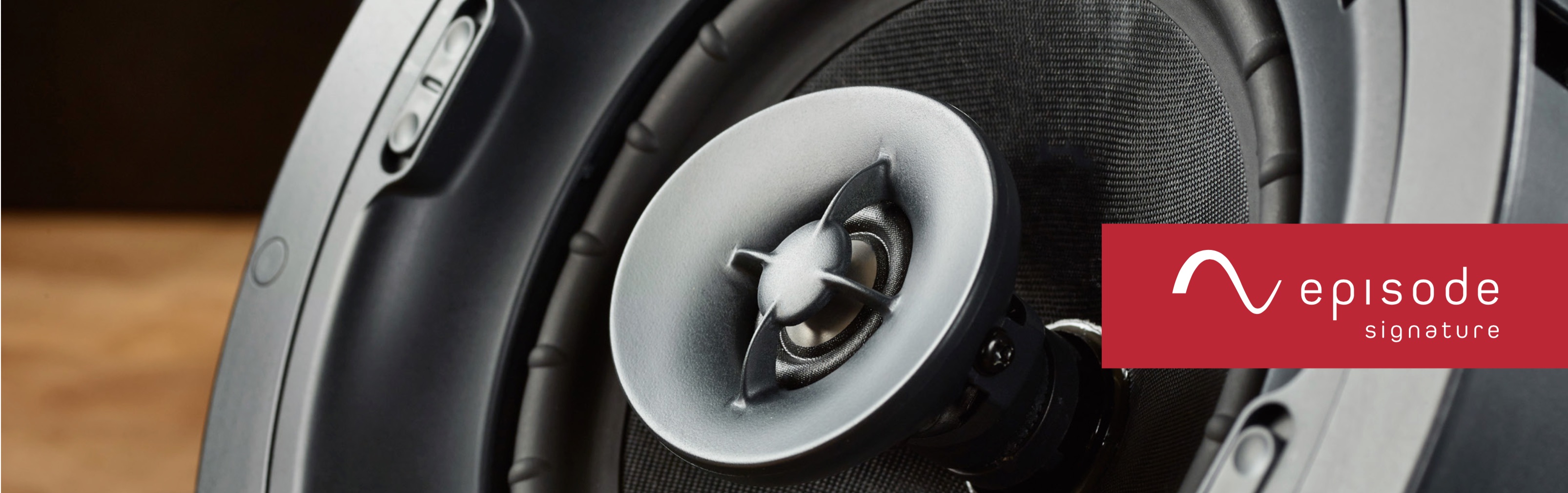 Episode Speakers Leveledview LLC