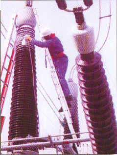 Upgrading High Voltage Insulators Using INSILCURE