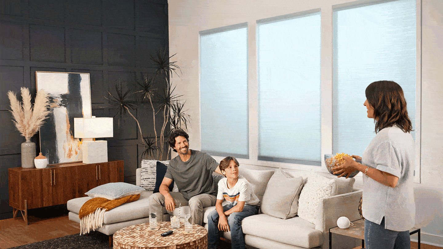 Motorized Blinds & Shades Control Options LEVOLOR