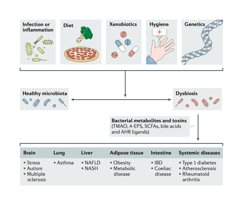 New review in Nature Reviews Immunology LevyLab
