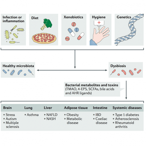 The Role of the Immune System in Metabolic Health and Disease (Cell