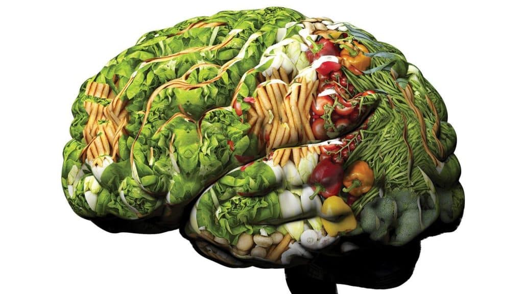 Your brain on food Lexicon