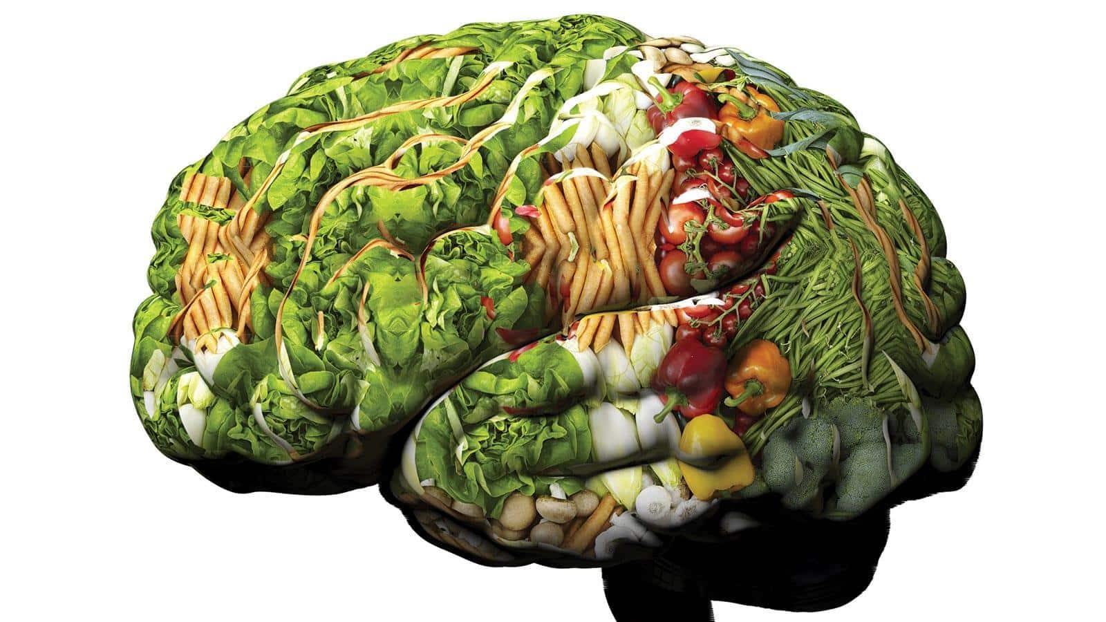 Your brain on food Lexicon