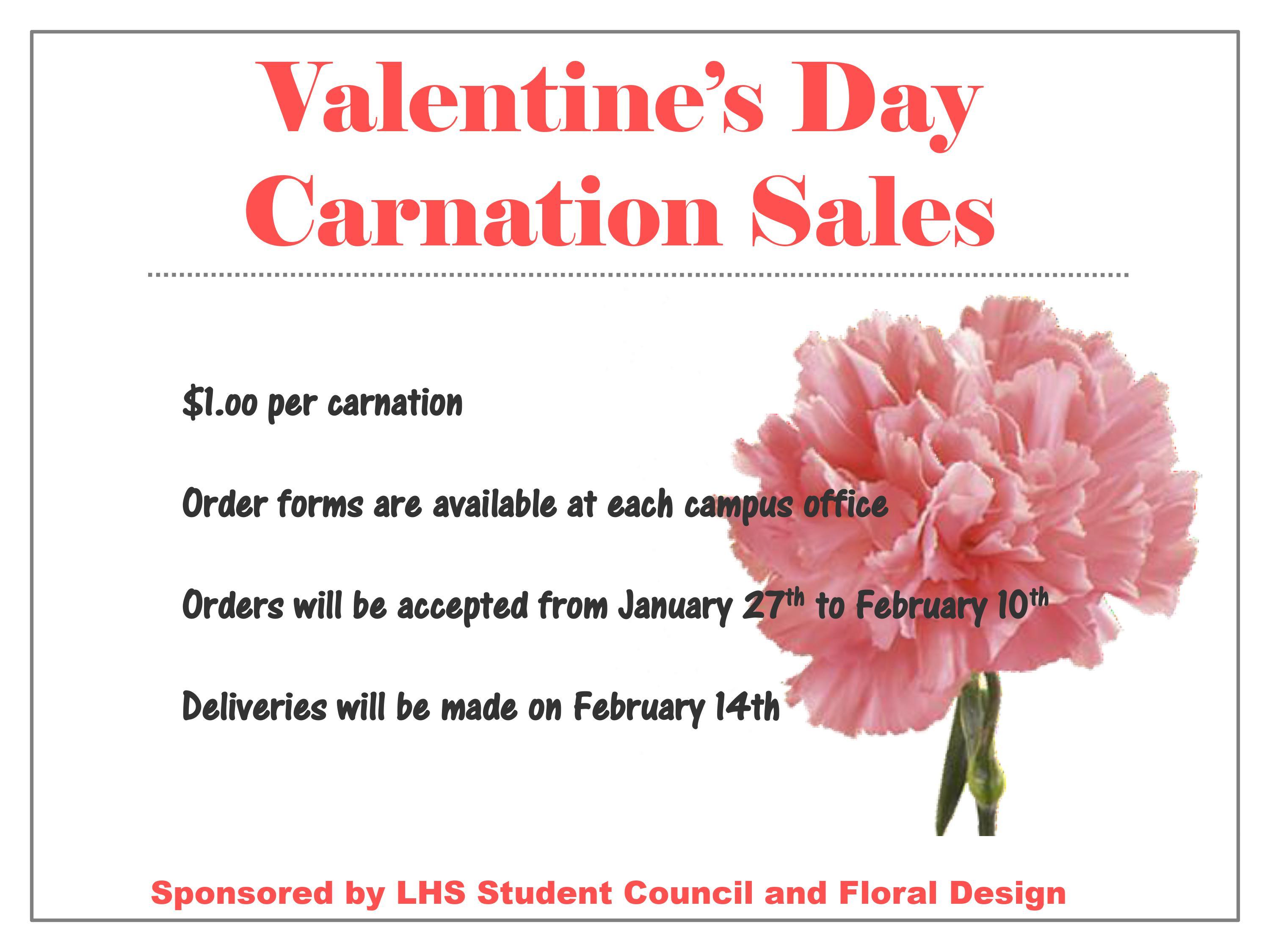 LHS Student Council/Floral Design Valentine's Day Carnation Sales