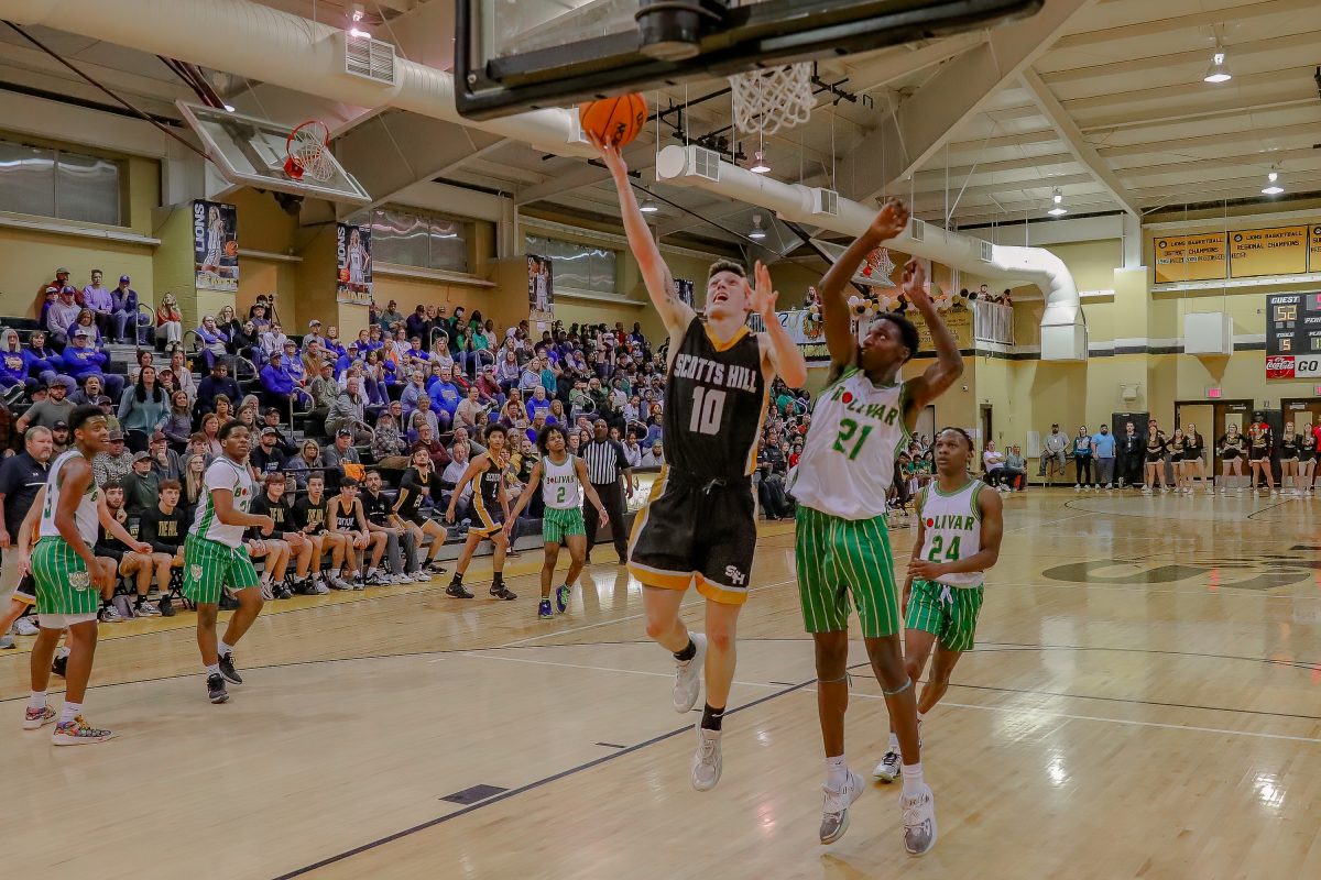 Scotts Hill Lions Secure RunnerUp in District Lexington Progress