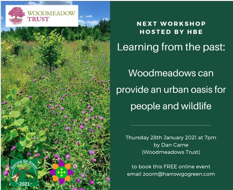 Harrow Go Green LFGN