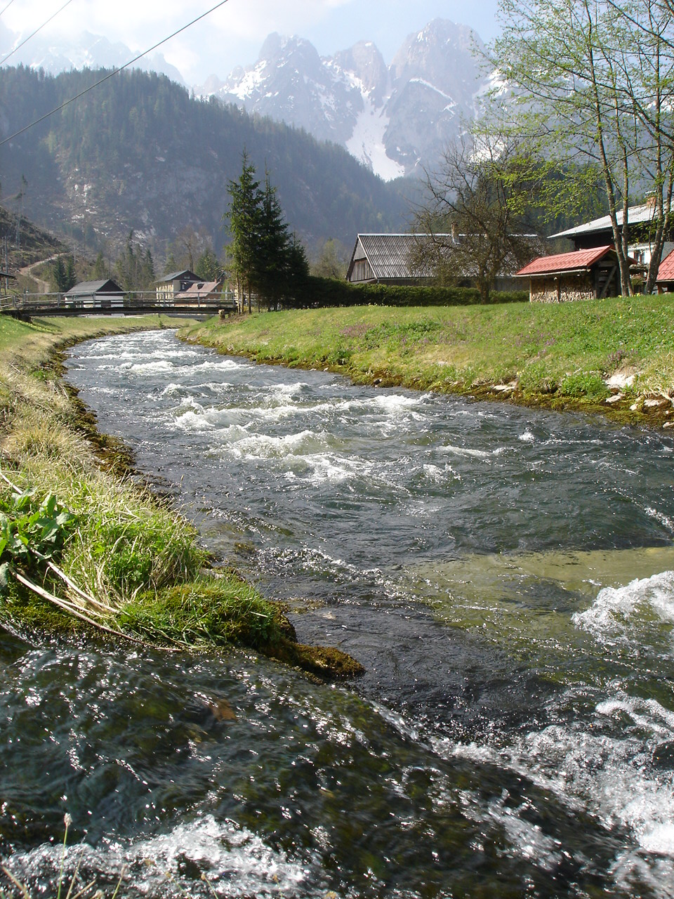 Gosaubach (inkl. Stauseen Gosauschmied und Klaushof) Landesfischereiverband OÖ