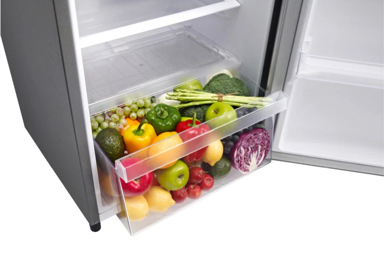 LG 6 cu. ft. Single Door Refrigerator (LRONC0605V) LG USA
