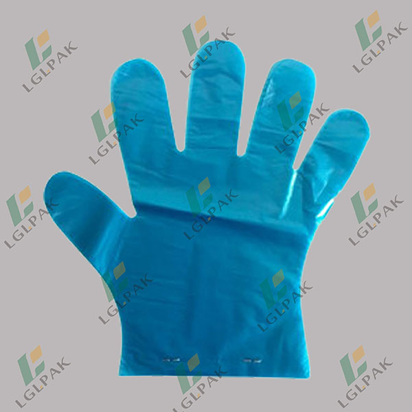 China Disposable plastic gloves Manufacturer and Supplier LGLPAK