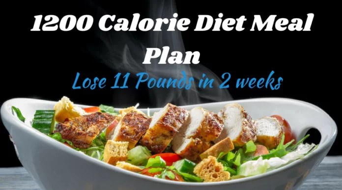 1200 Calorie Diet Meal Plan Lose 11 Pounds in 2 Weeks Libifit