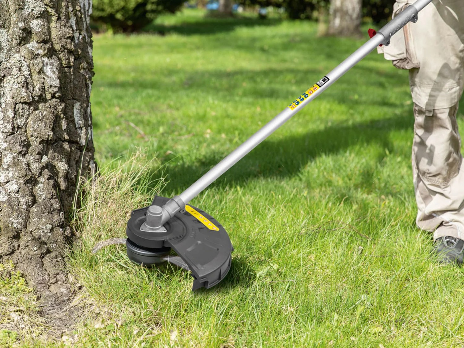 dynastie Hôtel oiseau lidl debroussailleuse a batterie ampoule article maladie