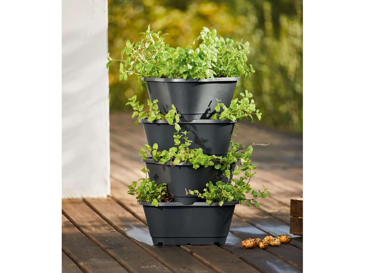 PARKSIDE® Tour de pommes de terre - Lidl.be