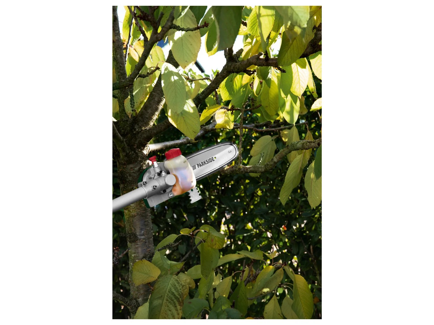 40 V Akku-4-in-1-Garten-Kombigerät »PGKGA 40-Li B2«, o…