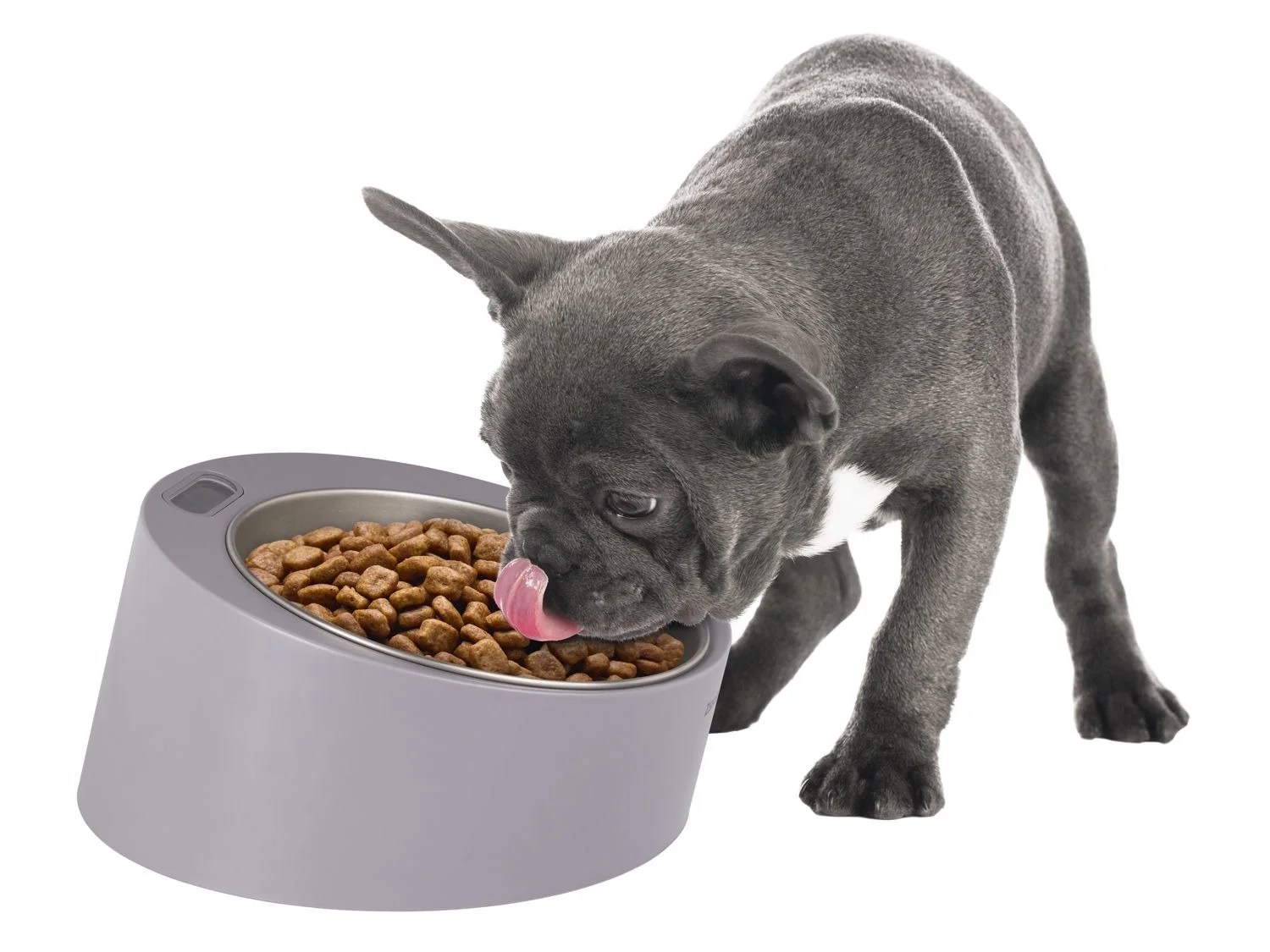 ZOOFARI® Futternapf, mit integrierter Waage, herausnehmbare
