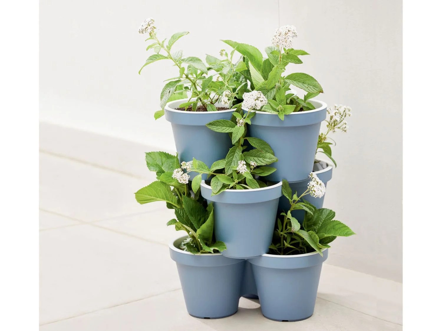 Mischung Diskriminieren Joghurt blumentopf dreier Passage Gurke saugen