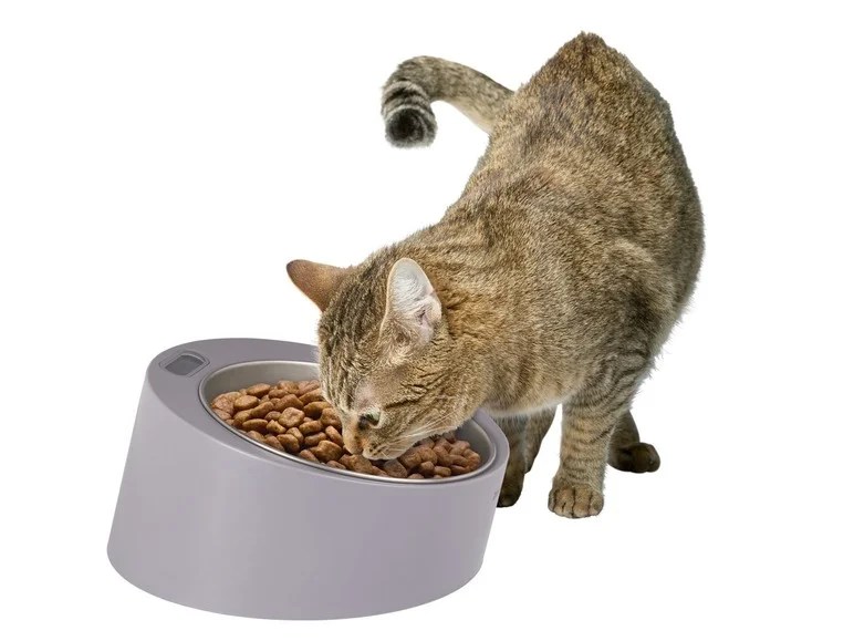 ZOOFARI® Futternapf, mit integrierter Waage, herausnehmbare