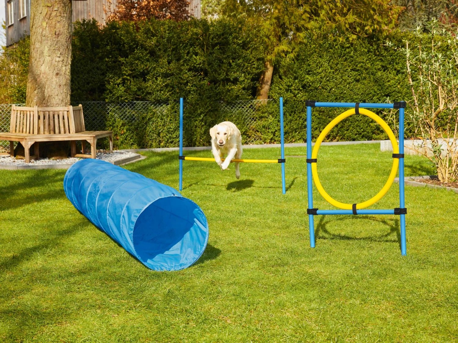 ZOOFARI® Hundetrainings Set, mit Trainingsvideos, inklusive Transporttasche  - Lidl.de