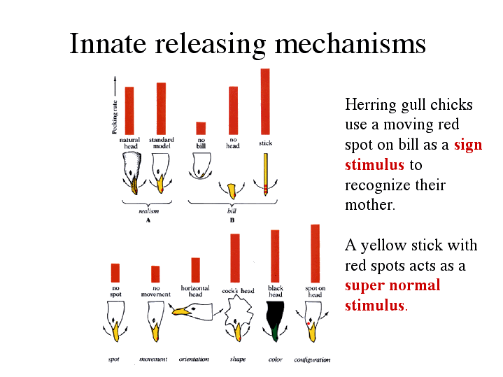 Innate releasing mechanisms