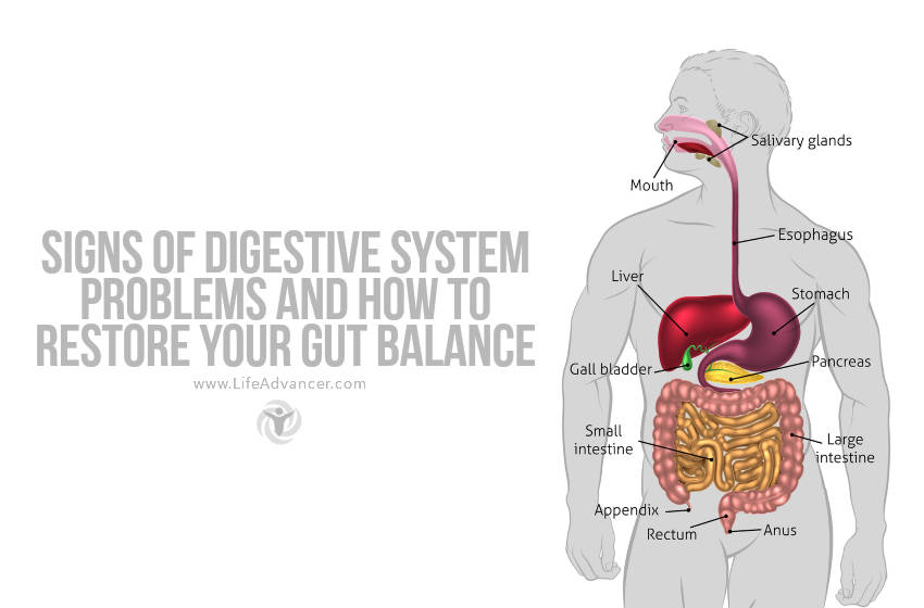 Signs of Digestive System Problems (and How to Restore Your Gut Balance)
