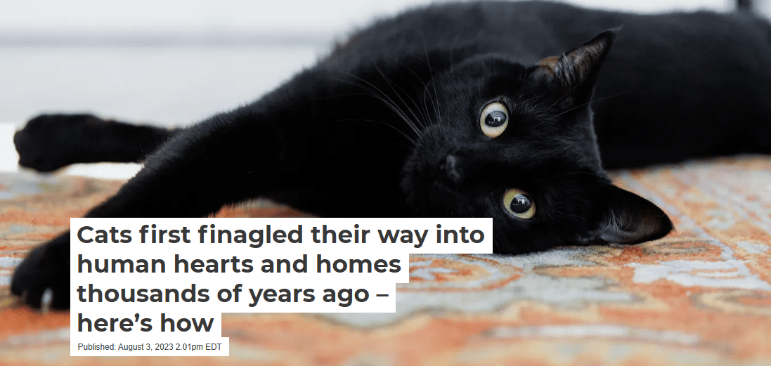 Cats first finagled their way into human hearts and homes thousands of