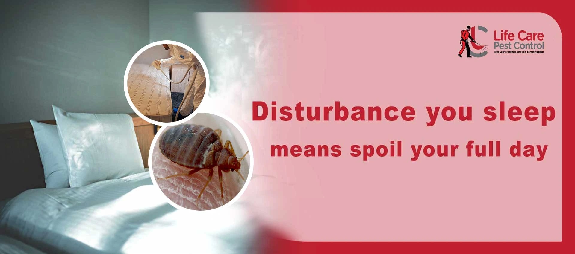 Life Care Pest Control Service in Kolkata, Howrah