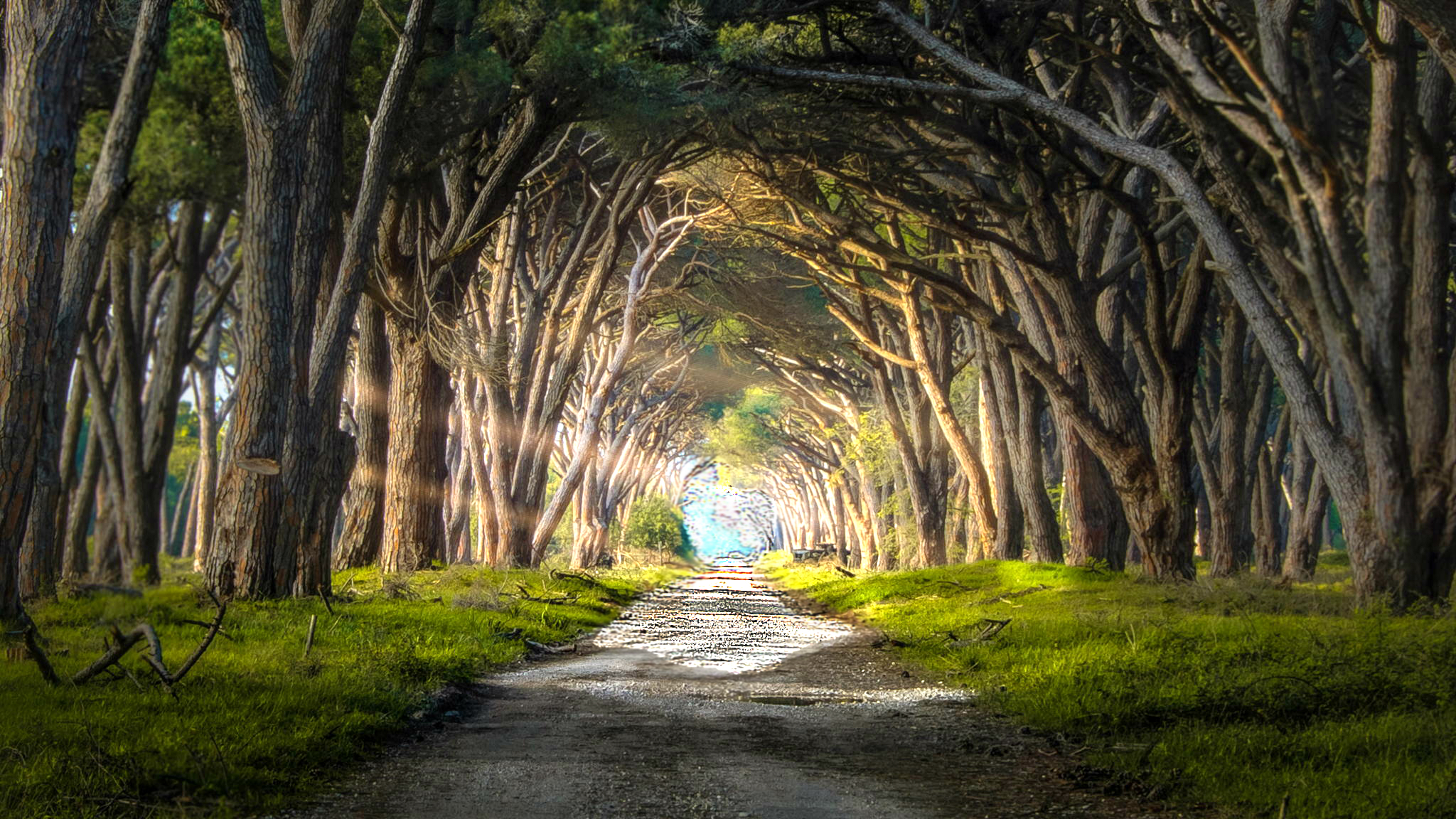 10 Signs You Are Walking The Highest Path Of Your Purpose